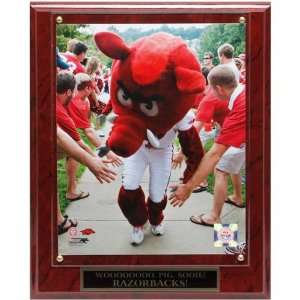   Razorbacks 10.5 x 13 Big Red Mascot Plaque