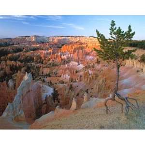   Point, Bryce Canyon National Park, UT Wall Mural