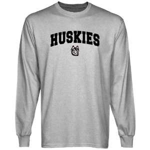  Northeastern Huskies Ash Logo Arch Long Sleeve T shirt 