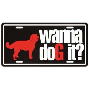 New  Labradoodle / Wanna Dog It ?  License Plate Dog  
