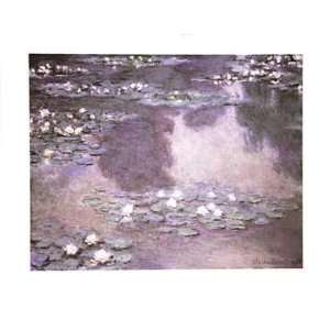 Waterlilies    Print 