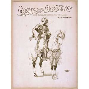  Poster Lost in the desert the dramatic event of the year 