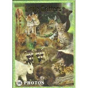  LITTLE CRITTERS PLAYING CARDS   16 DIFFERENT PHOTOS   ONE 