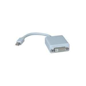  mini DisplayPort to DVI Adapter   9 inches Electronics