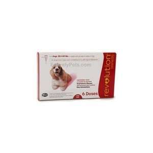  Revolution for dogs 21 to 40 lbs (6 Month)