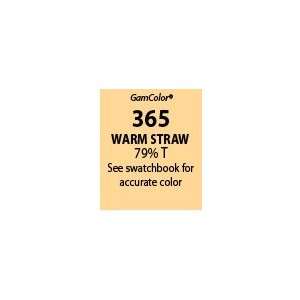   GamColor 365 Warm Straw Lighting Gel Filter Sheet 20x24 Electronics