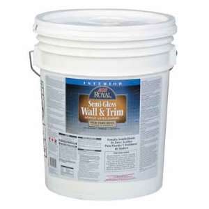   Ace Royal Touch Interior Semi gloss Wall/trim Paint