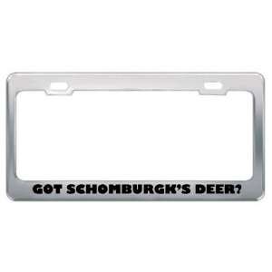Got SchomburgkS Deer? Animals Pets Metal License Plate Frame Holder 