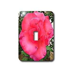 Lee Hiller Designs Roses   Bright Pink Hibiscus Rose   Light Switch 