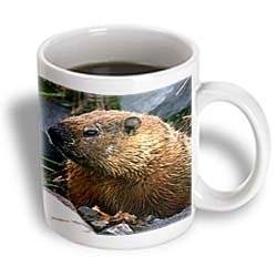 Wild animals   Groundhog   Mugs