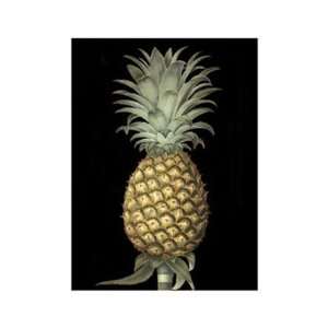  Brookshaws Exotic Pineapple I   Poster by George 