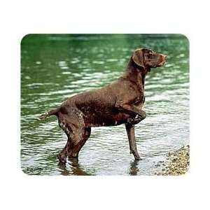  German Shorthaired Pointer Mousepad Patio, Lawn & Garden