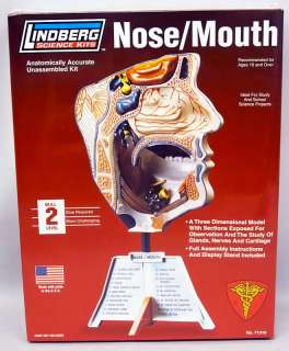 Nose Mouth Anatomically Accurate Science Kit 71310 NEW  