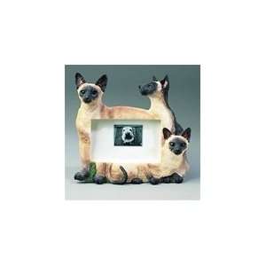 Siamese Cats Frame 