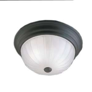   Thomas Lighting Painted Bronze One Light Ceiling Style