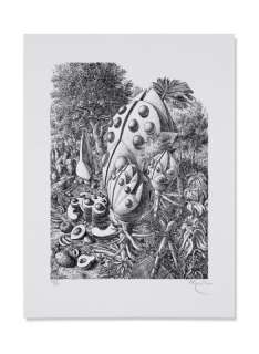 Ramon Alejandro etching Beetle Forest  