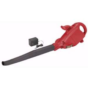  AZM YARD BLOWER 12V 