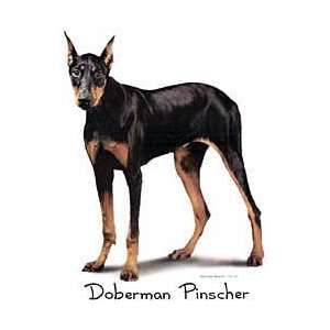  Doberman Shirts