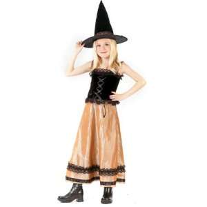  Kids Elegant Witch Costume (Size Medium 8 10) Toys 