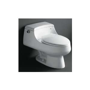  The Celeste   Royal 1013 Contemporary European Toilet with 