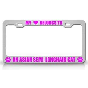 MY HEART BELONGS TO AN ASIAN SEMI LONGHAIR Cat Pet Auto License Plate 