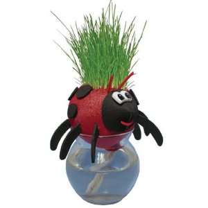  Grow A Head Bugs   Lady Bug Toys & Games