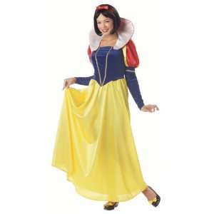  Adult Snow White Costume Size Large (10 12) Everything 
