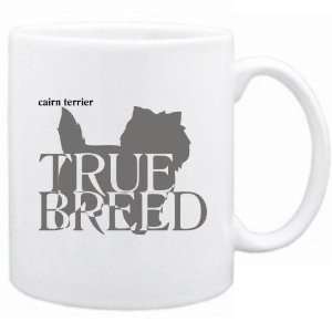  New  Cairn Terrier  The True Breed  Mug Dog