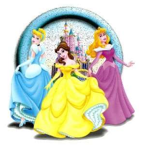 Princesses BELLE CINDERELLA AURORA Disney Castle Disneyland Heat Iron 