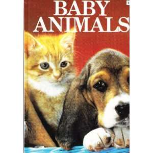  Baby Animals TESSA BOARD Books