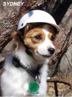 Doggie Bike Helmet   Made of high impact ABS plastic   Black or Pink 
