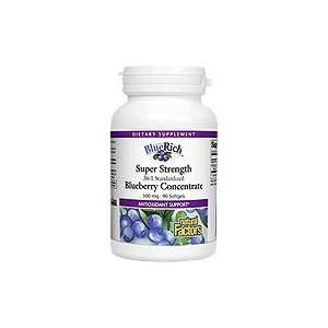  BlueRich Blueberry 500mg   Antioxidant Support, 90 