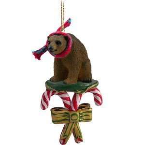  Brown Bear Candy Cane Christmas Ornament