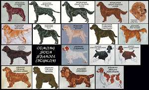 RETRIEVER & SPANIEL COUNTED CROSS STITCH PATTERNS  