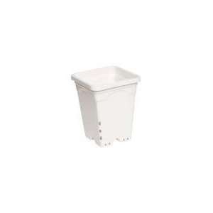 x6 Square White Pot, 8 Tall, 50 per case 