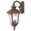   Outdoor Post Lamp Lighting Fixture, Bronze, Light Amber Water Glass
