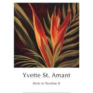    Birds of Paradise II by Yvette St. Amant 12x16
