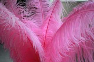 LARGE OSTRICH PLUMES FEATHERS GOOD QUALITY & 7 COLOURS  
