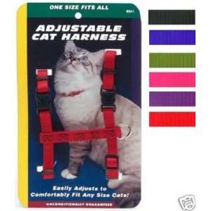   Nylon Adjustable Cat Figure H Harness NEON PINK