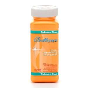  Brilliance Total Alkalinity Increaser 16 Ounce Patio 