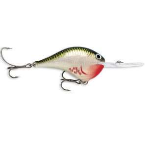 Rapala Dives To 16 Fishing lure, 2.75 Inch, Bleeding Olive Shiner 