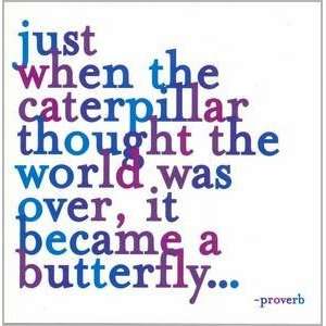 Just When The Caterpillar Thought The World Was Over. Color Magnet 