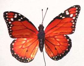 Satin Paper Butterfly Decorative Fake Craft Artificial Butterflies 6 