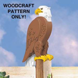 3d Bald Eagle Woodcraft Pattern by Sherwood Creations  