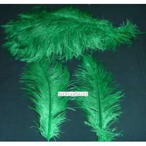 Ostrich~Palm Tree Green 20 Ostrich Feather 13 16 to Decorate Eiffel 