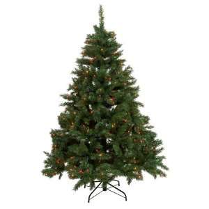   Pacconi Classics 4 Foot Pre Lit Pathway Stake Tree