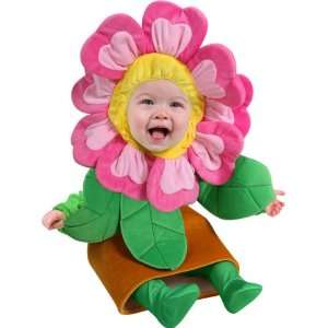   Baby Girl Flower Pot Halloween Costume (Sz Infant 12M) Toys & Games