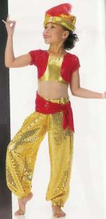 GENIE HAREM Aladdin Dance Halloween Costume SZ CHOICES  