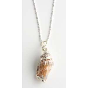 Sea Shell Pendant on 925 Sterling Silver necklace