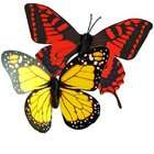   Yellow Monarch and Red Swallowtail for Garden Plants Flowers